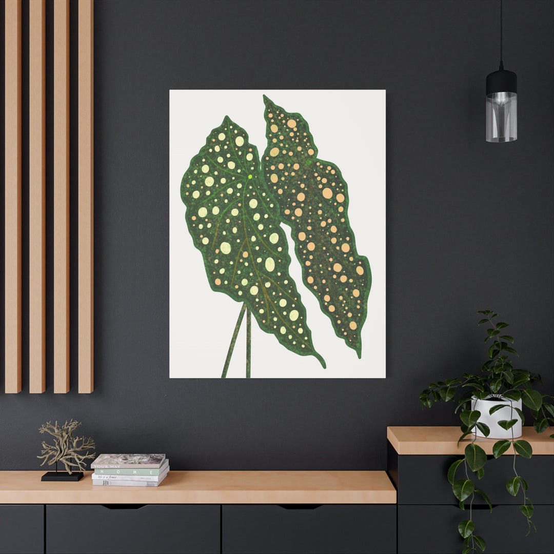 Begonia Maculata Canvas Premium Botanical Wall Art Print On Cotton Canvas With Matte Finish For Indoor Decor