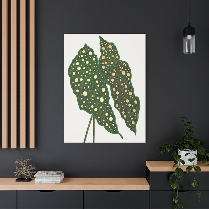 Begonia Maculata Canvas Premium Botanical Wall Art Print On Cotton Canvas With Matte Finish For Indoor Decor