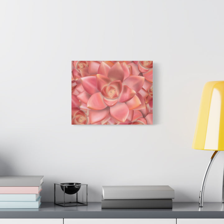 Graptosedum California Sunset Succulent Canvas Print – Botanical Wall Art - The Potted Pixel
