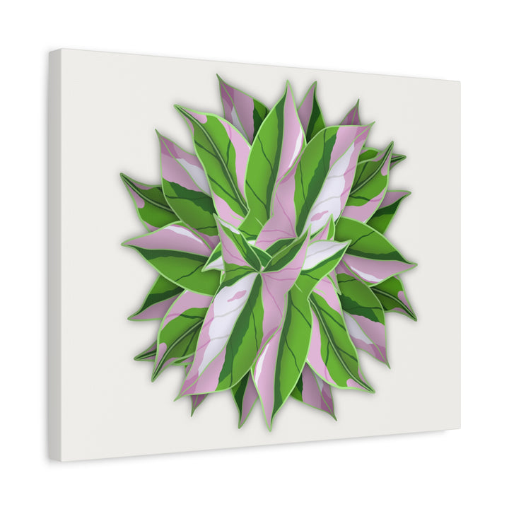 Syngonium Tricolor Canvas Print – Botanical Wall Art - The Potted Pixel