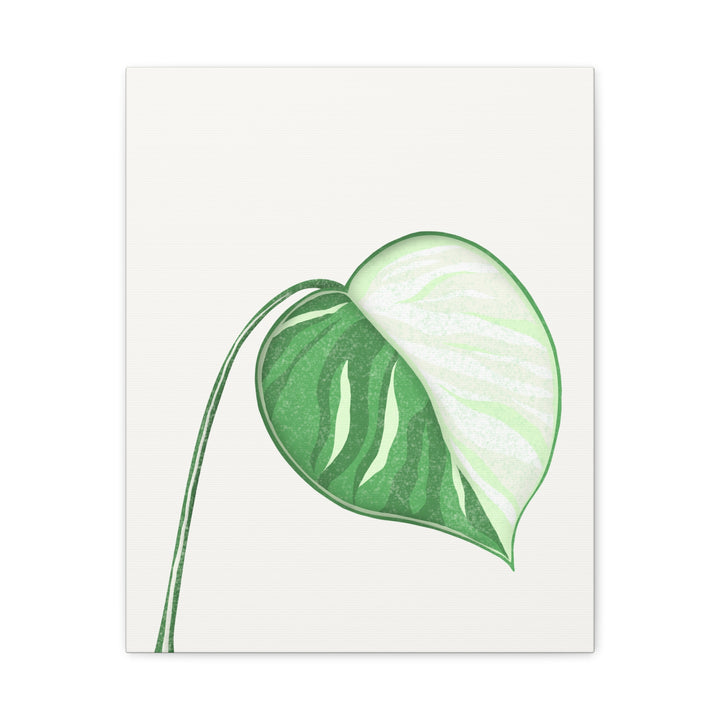 Monstera Albo Canvas Large Stretched Premium Quality Cotton Canvas Wall Art Tropical Leaf Poster Decor
