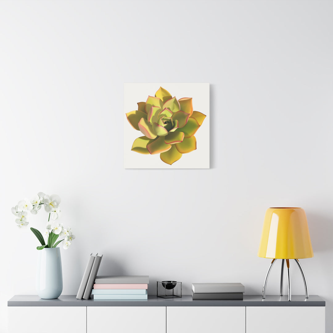 Noble Aeonium Succulent Canvas Wall Art Print for Modern Home Decor by The Potted Pixel