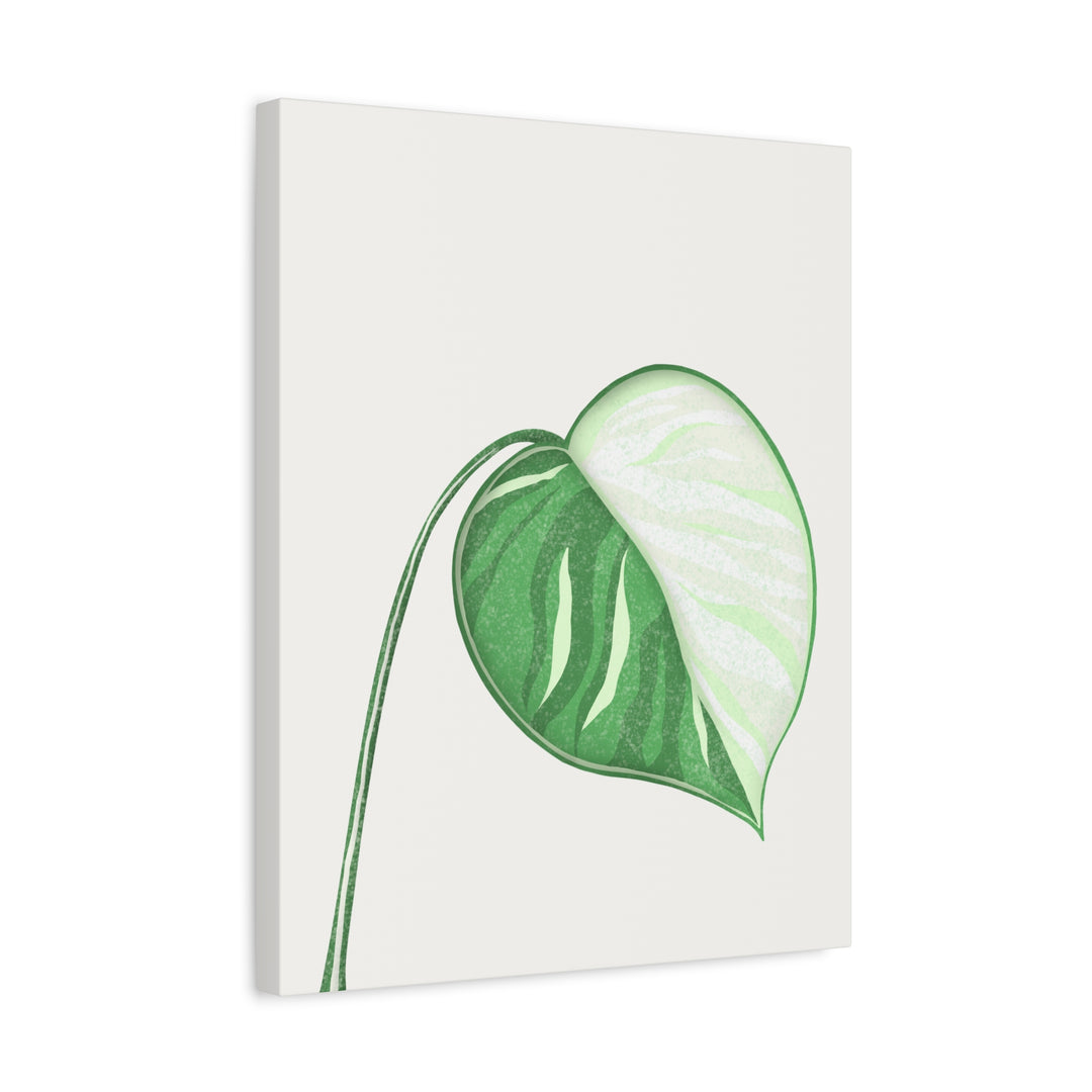 Monstera Albo Canvas Large Stretched Premium Quality Cotton Canvas Wall Art Tropical Leaf Poster Decor