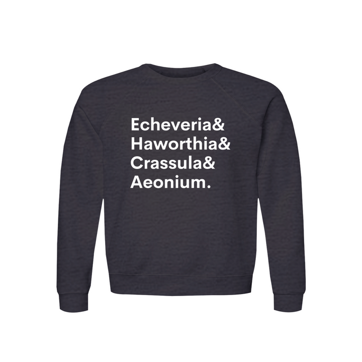 Apparel-DTG-Sweatshirt-Bella-3901-XS-DarkGreyHeather-Unisex-CF-20260810200340557