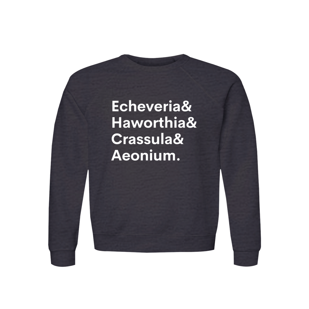 Apparel-DTG-Sweatshirt-Bella-3901-3XL-DarkGreyHeather-Unisex-CF-20260810200340557