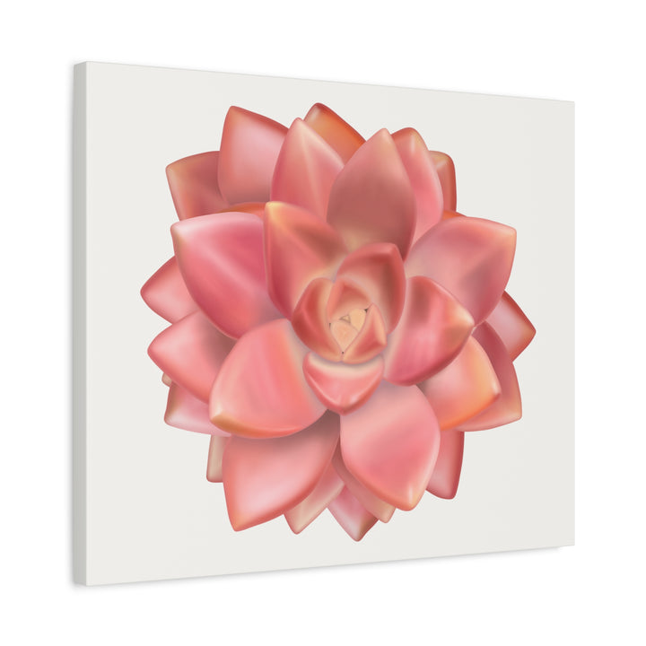 Succulent Canvas Art California Sunset Rosette Botanical Wall Art Print The Potted Pixel