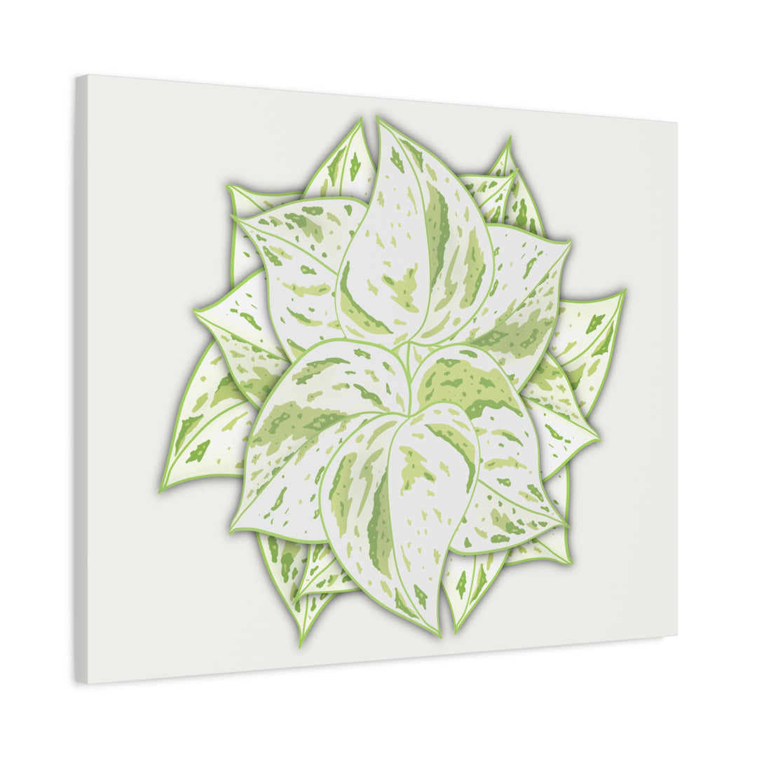 Snow Queen Pothos Canvas Wall Art Variegated Indoor Plant Leaf Poster Print Cotton Canvas
