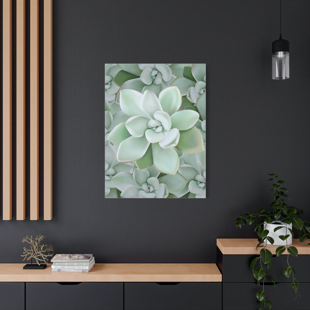 Pachyveria Haagei Succulent Pattern Canvas Art for Modern Home Decor 16x20 Matte Print