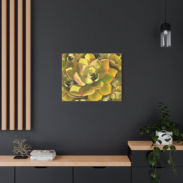 Succulent Canvas Art Vibrant Aeonium Print On Matte Canvas Wall Decor 12x18 Inches Indoor Home