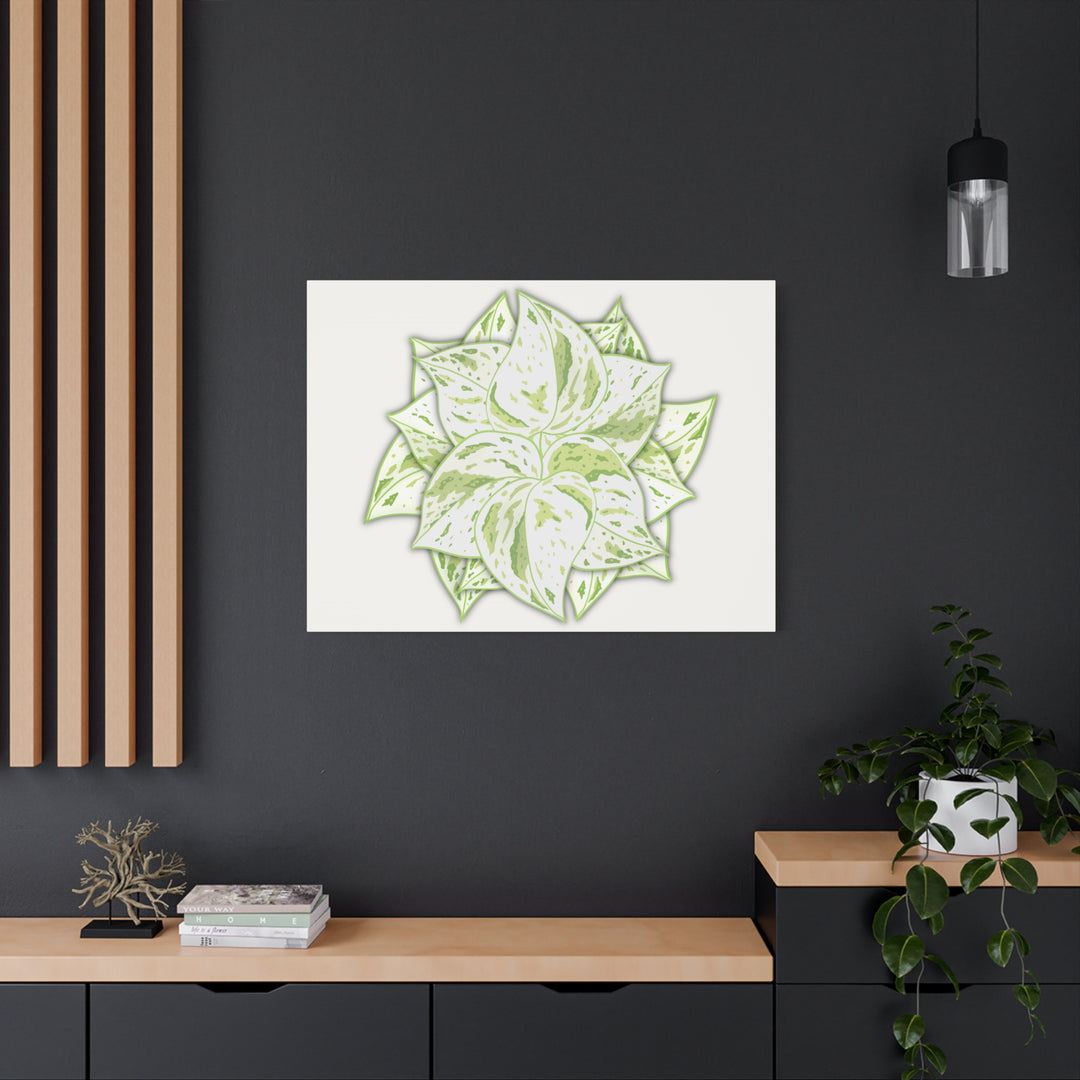 Snow Queen Pothos Canvas Wall Art Variegated Indoor Plant Leaf Poster Print Cotton Canvas