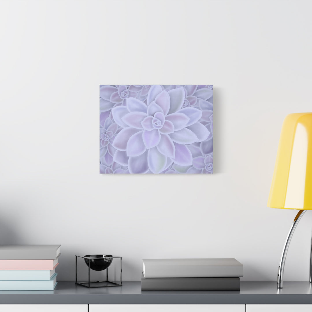 Graptopetalum Murasaki Succulent Canvas Art Print Pastel Purple Rosette Indoor Plant Decor