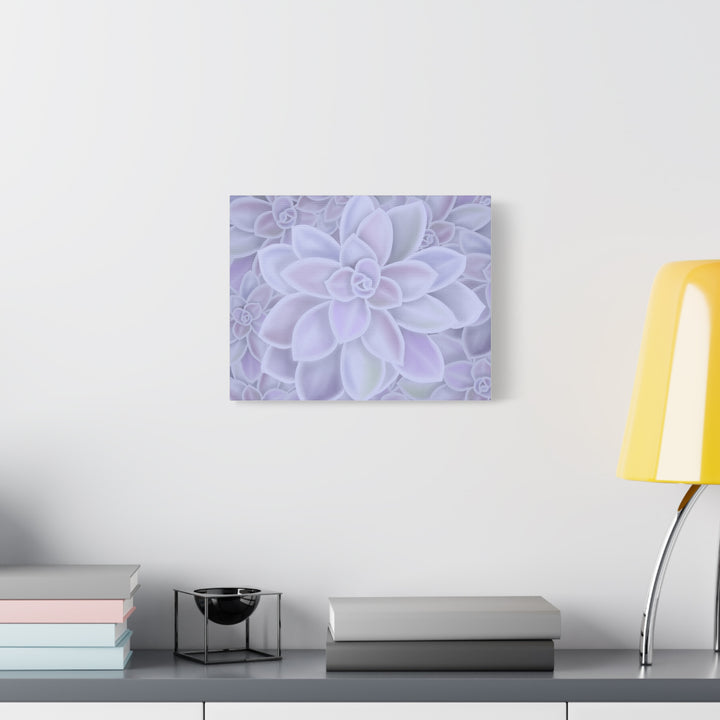 Graptopetalum Murasaki Succulent Canvas Art Print Pastel Purple Rosette Indoor Plant Decor