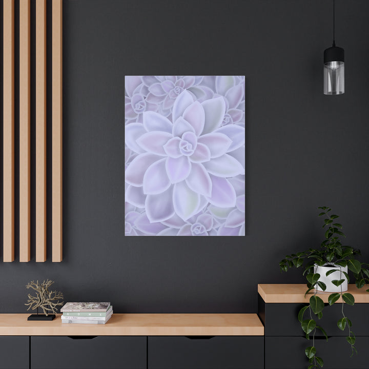 Graptopetalum Murasaki Succulent Canvas Art Print Pastel Purple Rosette Indoor Plant Decor