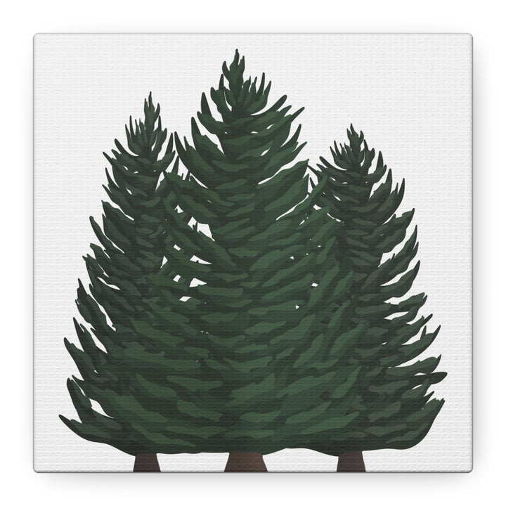 Douglas Fir Canvas Print – Wall Art