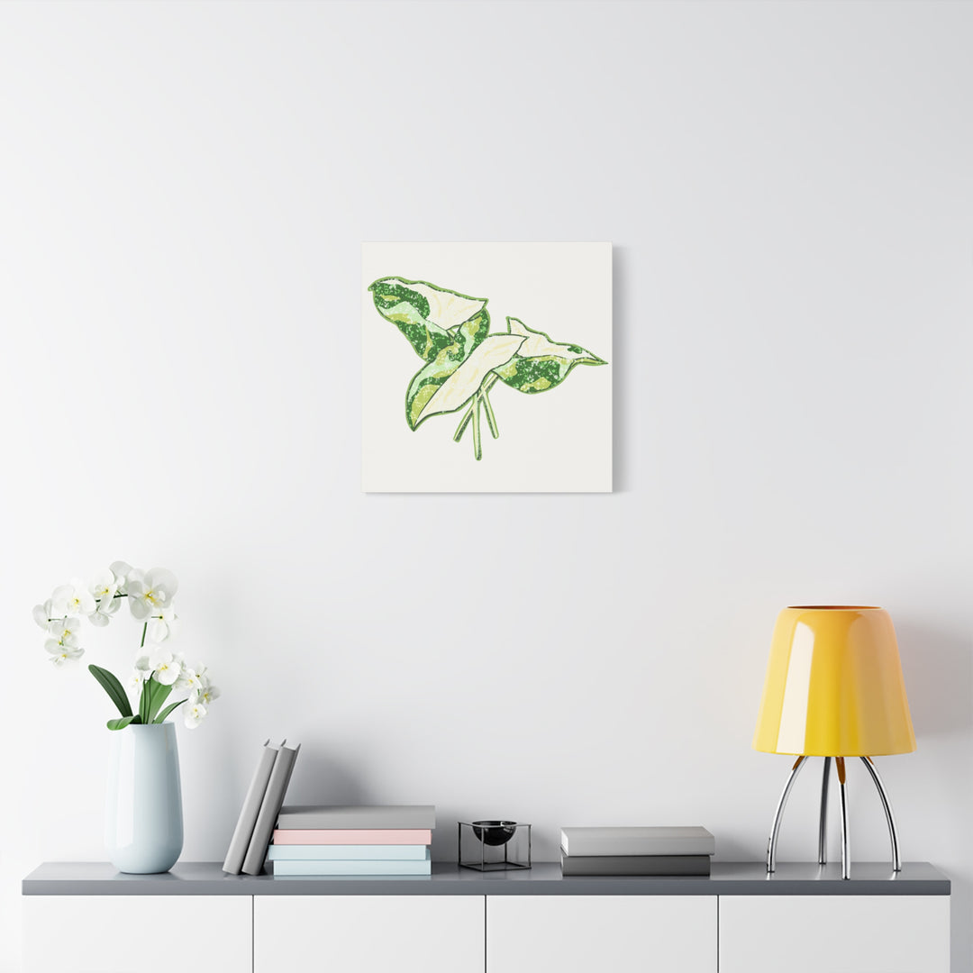 Marble Syngonium Canvas Botanical Wall Art Stretched Print On Durable Cotton Canvas Matte Finish
