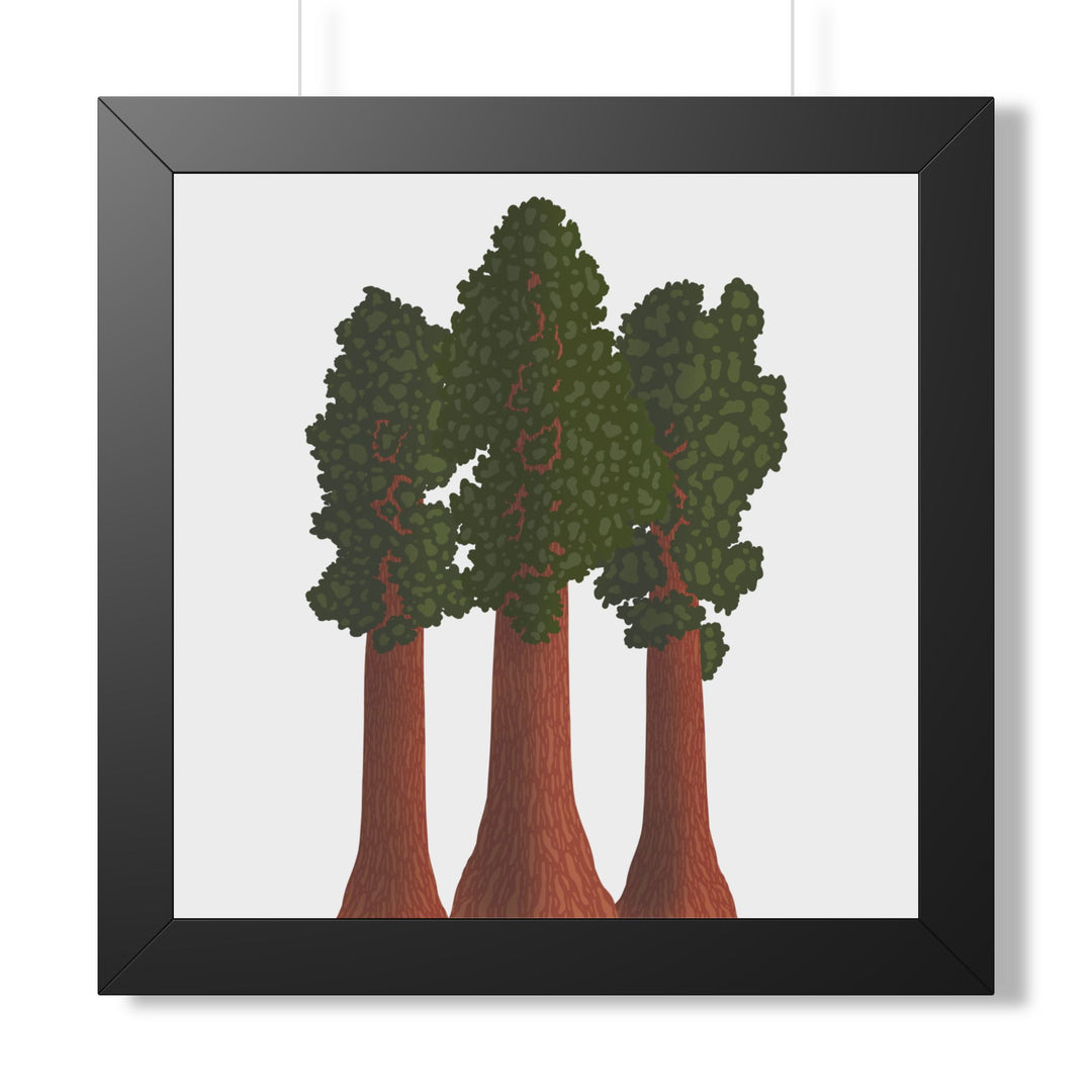 Giant Sequoias Framed Print – Wall Art