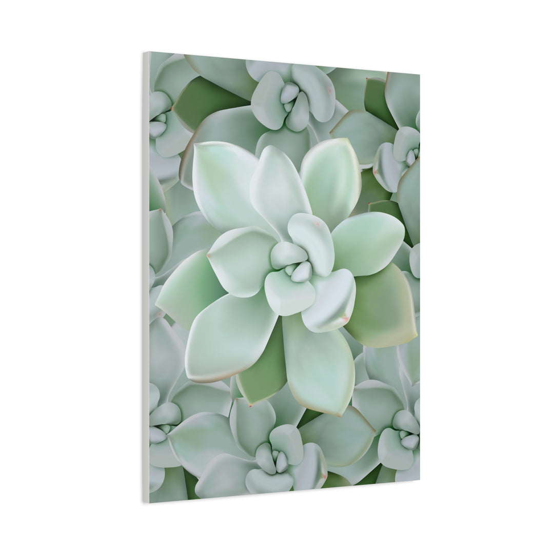 Pachyveria Haagei Succulent Pattern Canvas Art for Modern Home Decor 16x20 Matte Print