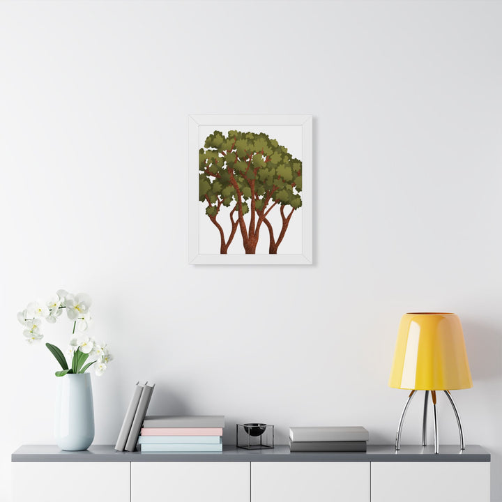 Pacific Madrone Framed Print – Wall Art