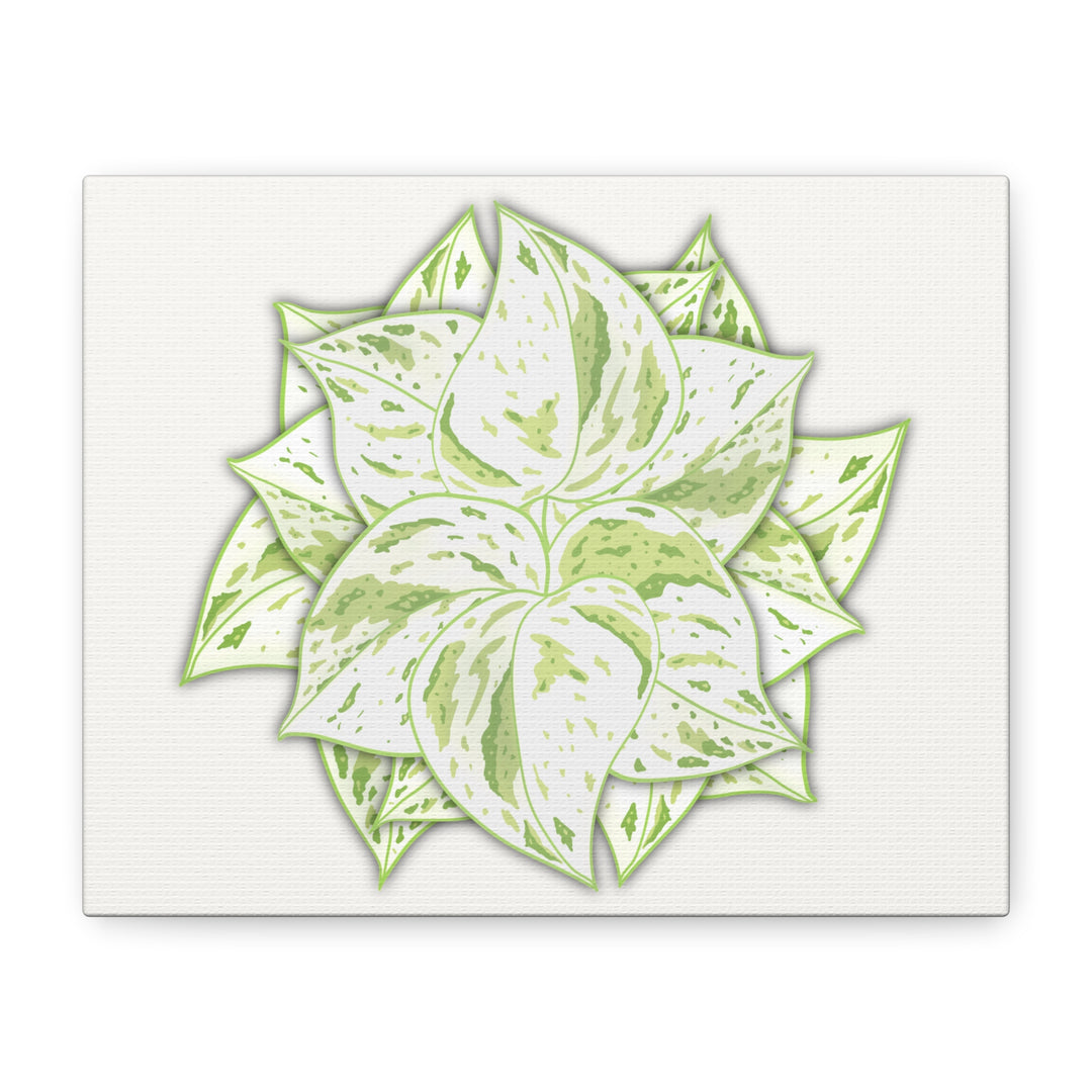 Snow Queen Pothos Canvas Wall Art Variegated Indoor Plant Leaf Poster Print Cotton Canvas