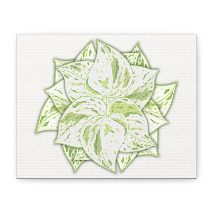 Snow Queen Pothos Canvas Wall Art Variegated Indoor Plant Leaf Poster Print Cotton Canvas