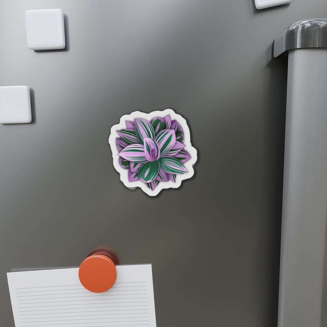 Tradescantia Nanouk Magnet