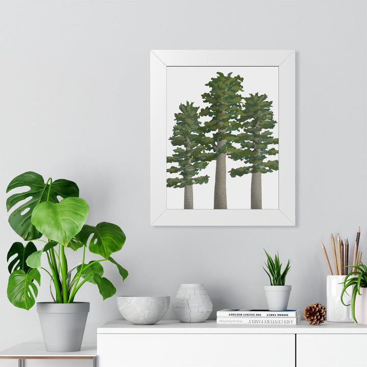 Sitka Spruce Framed Print – Wall Art