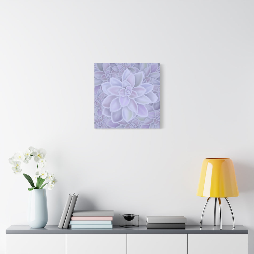Graptopetalum Murasaki Succulent Canvas Art Print Pastel Purple Rosette Indoor Plant Decor