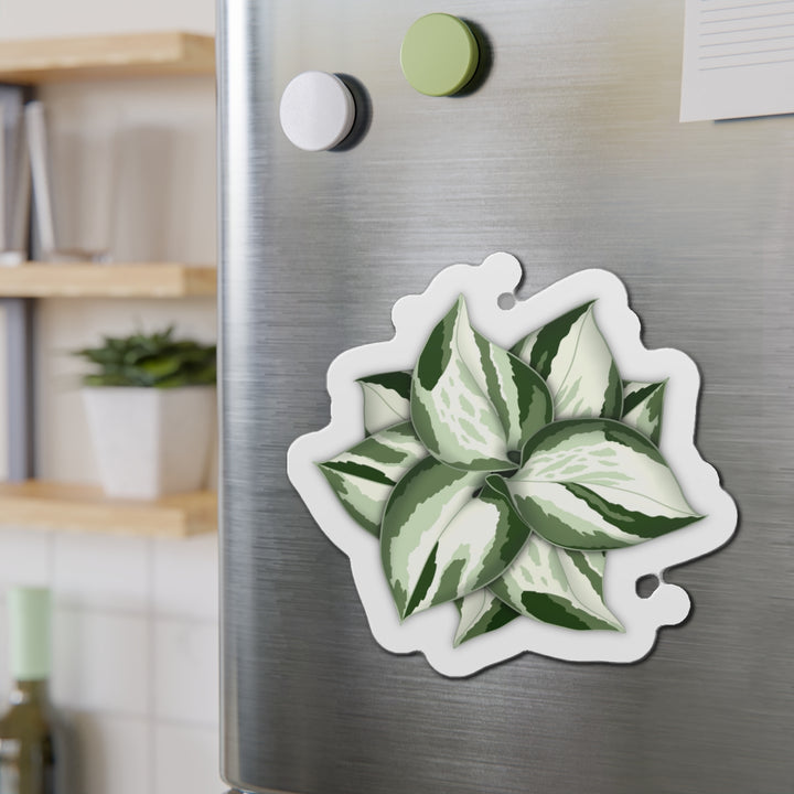 Manjula Pothos Magnet