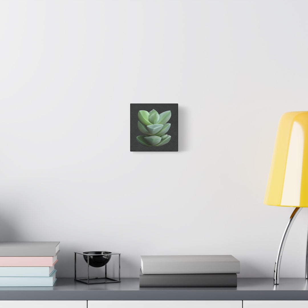 Crassula Canvas Print – Botanical Wall Art