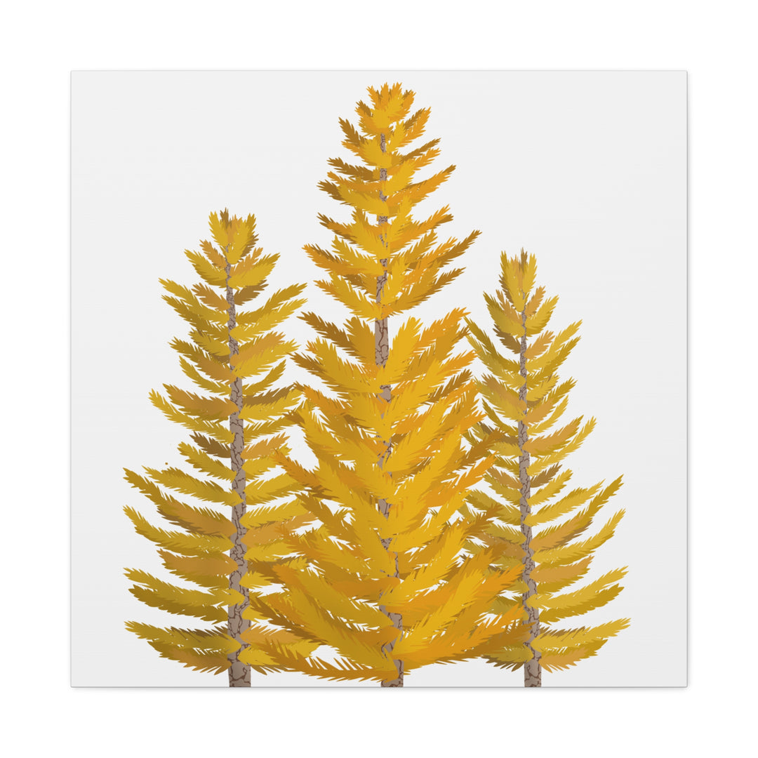 Western Larch Canvas Print – Wall Art