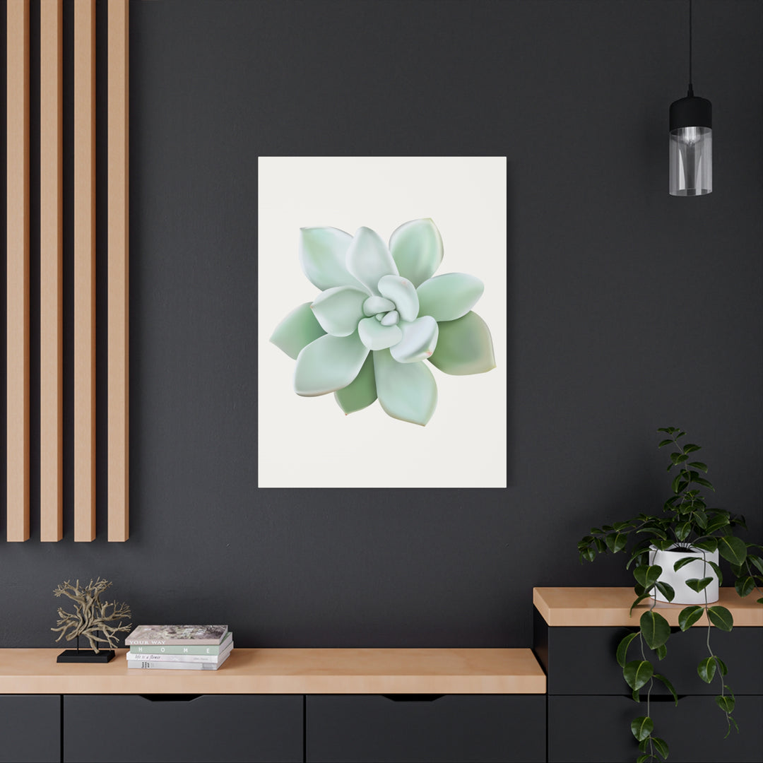 Succulent Canvas Art Pachyveria Haagei Print On Matte Finish Canvas Botanical Wall Decor
