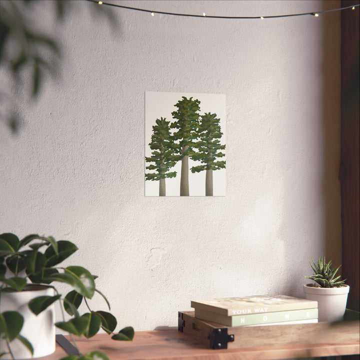 Sitka Spruce Print – Unframed Wall Art