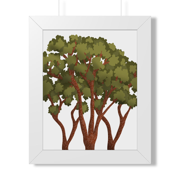 Pacific Madrone Framed Print – Wall Art