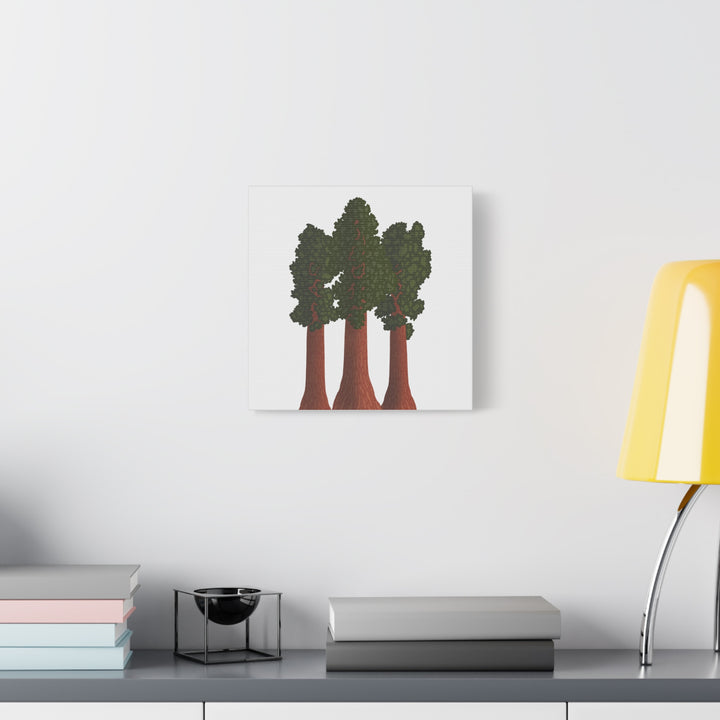 Giant Sequoias Canvas Print – Wall Art