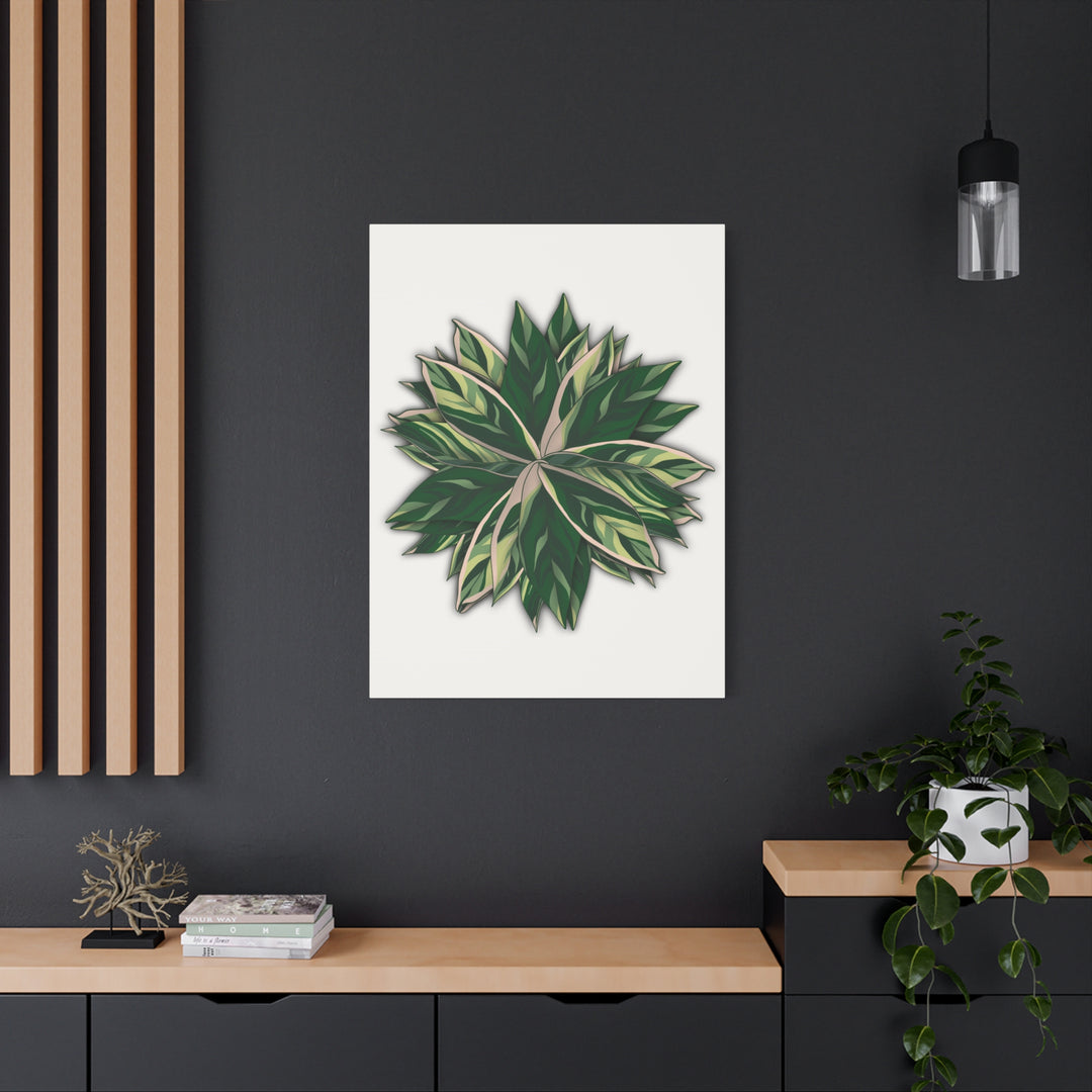 Stromanthe Triostar Canvas Wall Art Premium Matte Finish On Durable 1.25 Inch Frame For Vibrant Indoor Tropical Decor