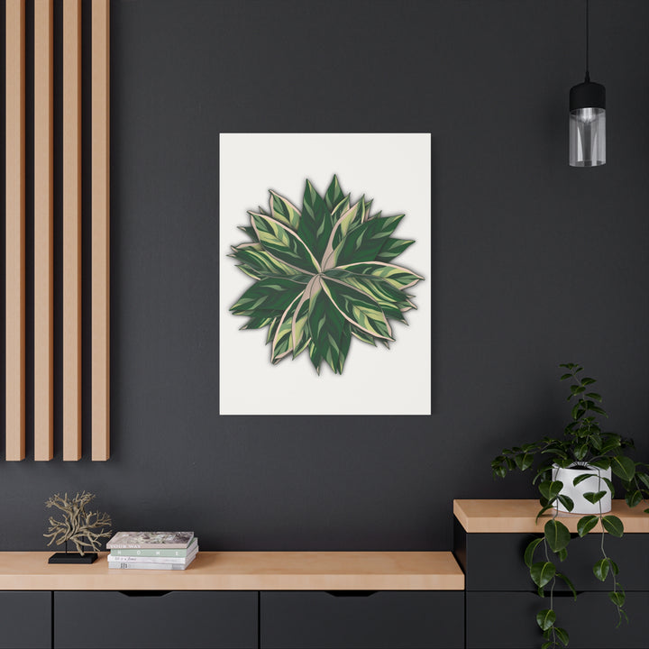 Stromanthe Triostar Canvas Wall Art Premium Matte Finish On Durable 1.25 Inch Frame For Vibrant Indoor Tropical Decor