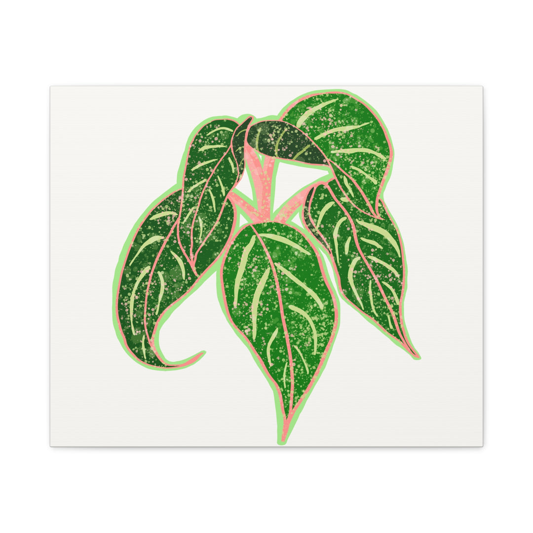 Aglaonema Sparkling Sarah Botanical Canvas Print On Matte Stretch Canvas For Modern Living Room Decor