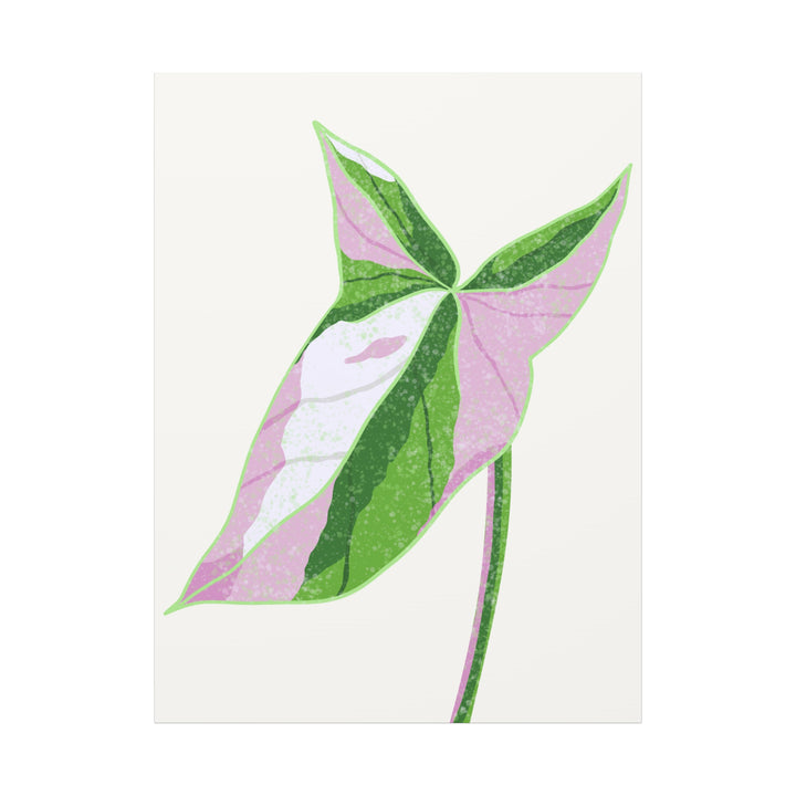 Syngonium Tricolor Canvas Print – Botanical Wall Art - The Potted Pixel