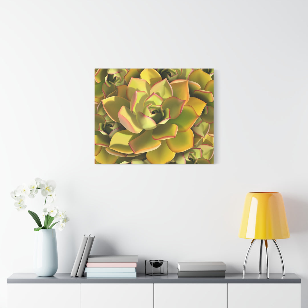 Succulent Canvas Art Vibrant Aeonium Print On Matte Canvas Wall Decor 12x18 Inches Indoor Home