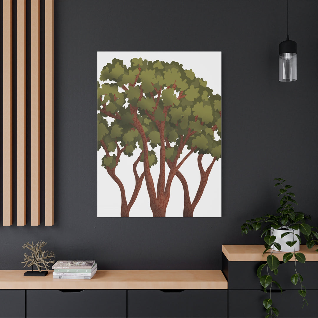 Pacific Madrone Canvas Print – Wall Art