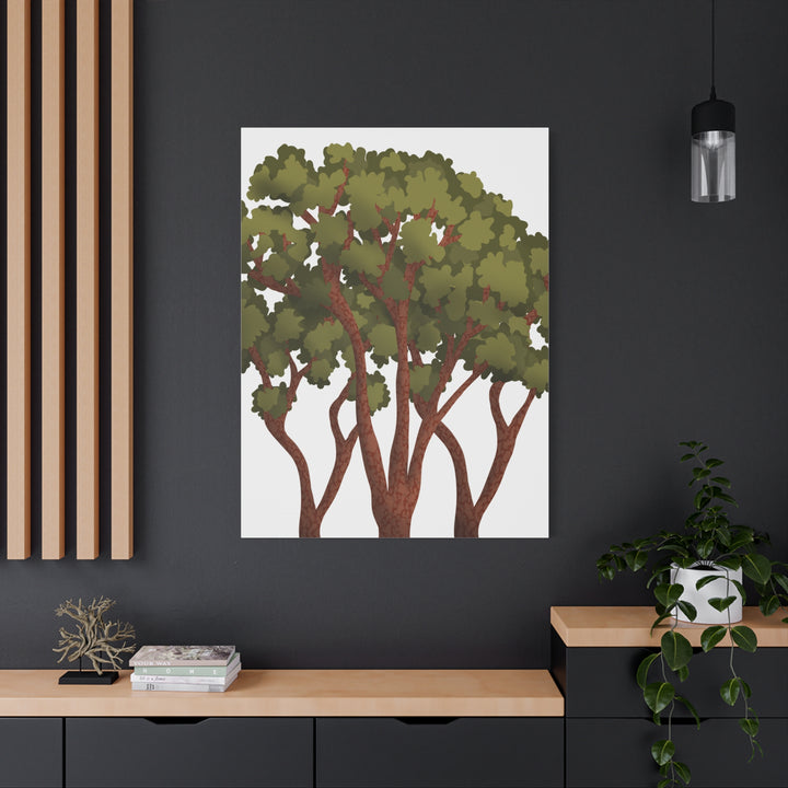 Pacific Madrone Canvas Print – Wall Art