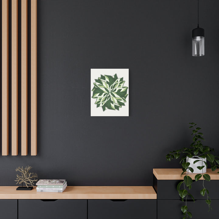 Calathea White Fusion Canvas Botanical Art Print On Stretched Cotton Canvas For Indoor Wall Decor