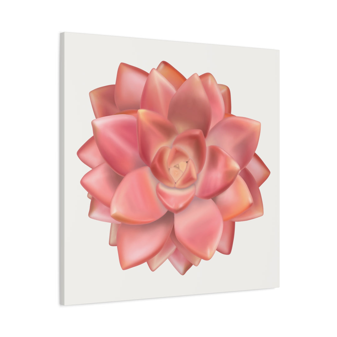 Succulent Canvas Art California Sunset Rosette Botanical Wall Art Print The Potted Pixel