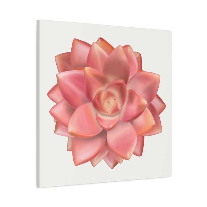 Succulent Canvas Art California Sunset Rosette Botanical Wall Art Print The Potted Pixel