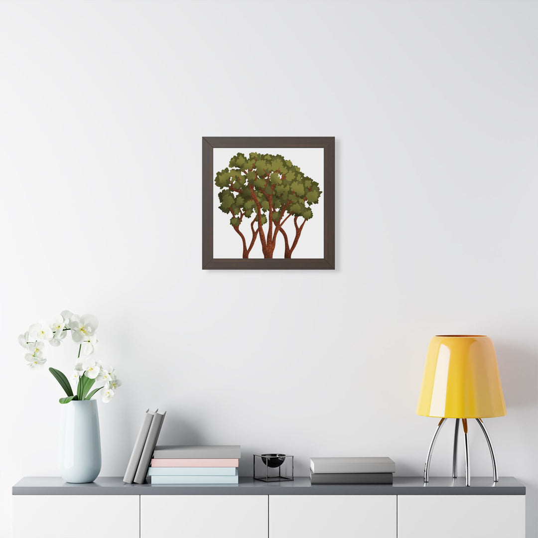 Pacific Madrone Framed Print – Wall Art