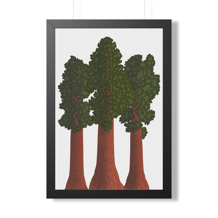 Giant Sequoias Framed Print – Wall Art