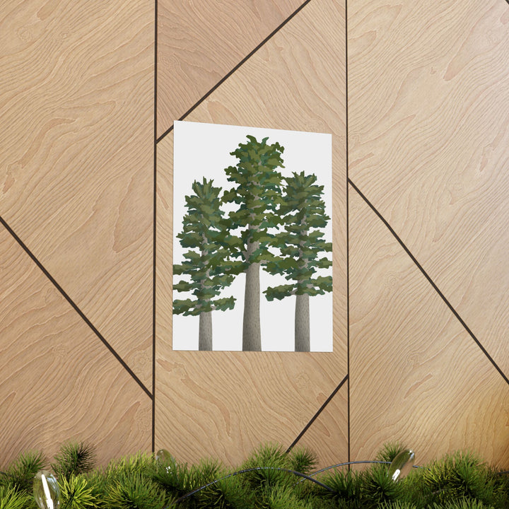 Sitka Spruce Print – Unframed Wall Art