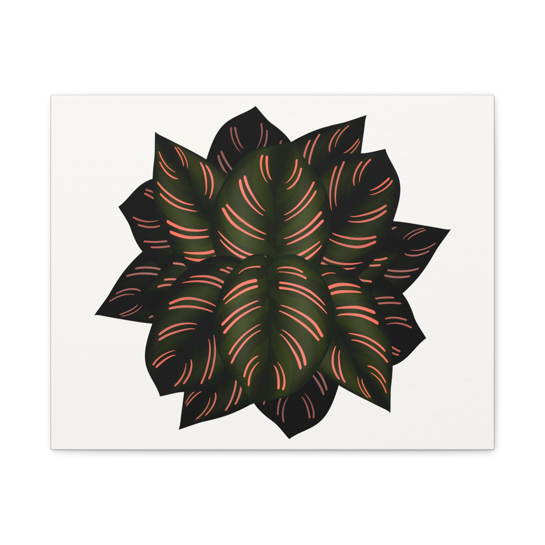 Calathea Pinstripe Canvas Botanical Wall Art Print On Stretched Cotton Canvas For Living Room Decor