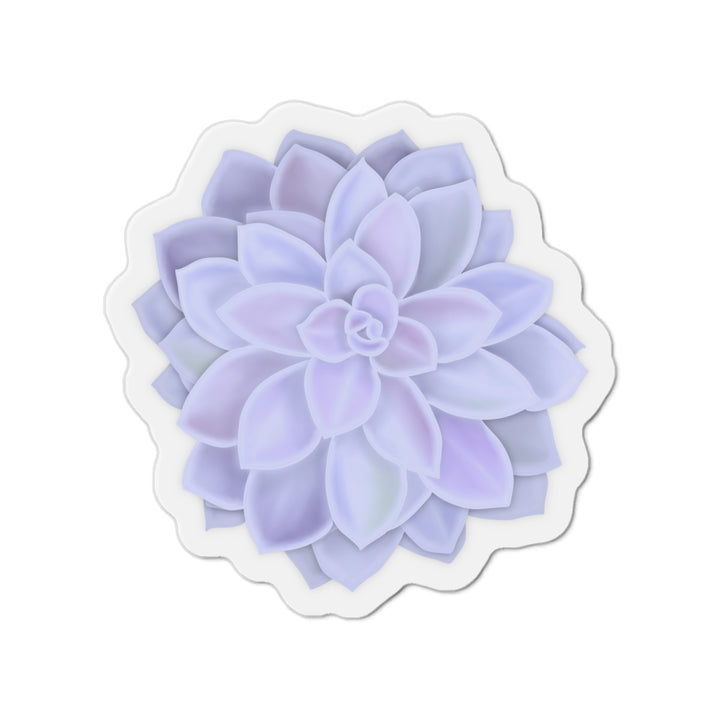 Graptopetalum Murasaki Succulent Magnet