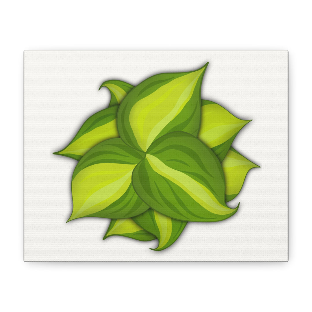 Philodendron Brasil Canvas Print Matte Stretched Canvas Indoor Plant Art For Modern Greenery Decor